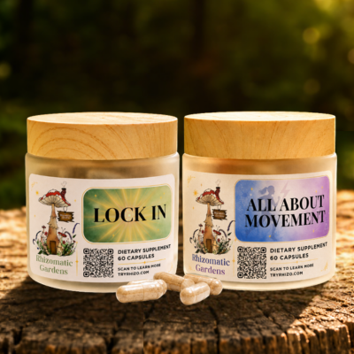 Performance Stack, Lock In and All About Movement