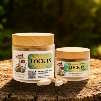 Focus Stack, Lock In and Lock In Mini