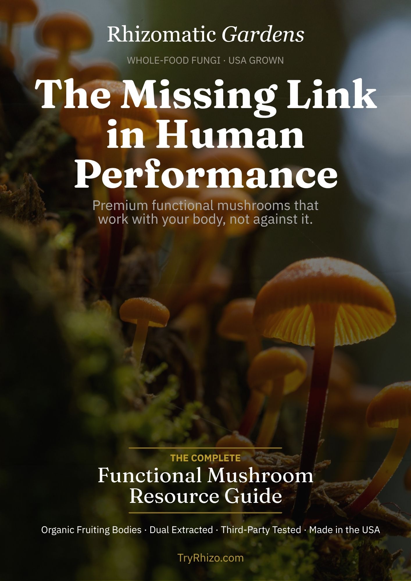 Functional Mushroom Resource Guide cover